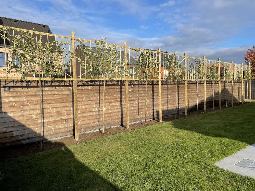 Make-over naar zuiderse tuin